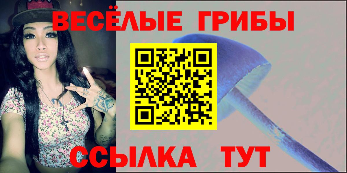 Галлюциногенные грибы прущие грибы Вологда