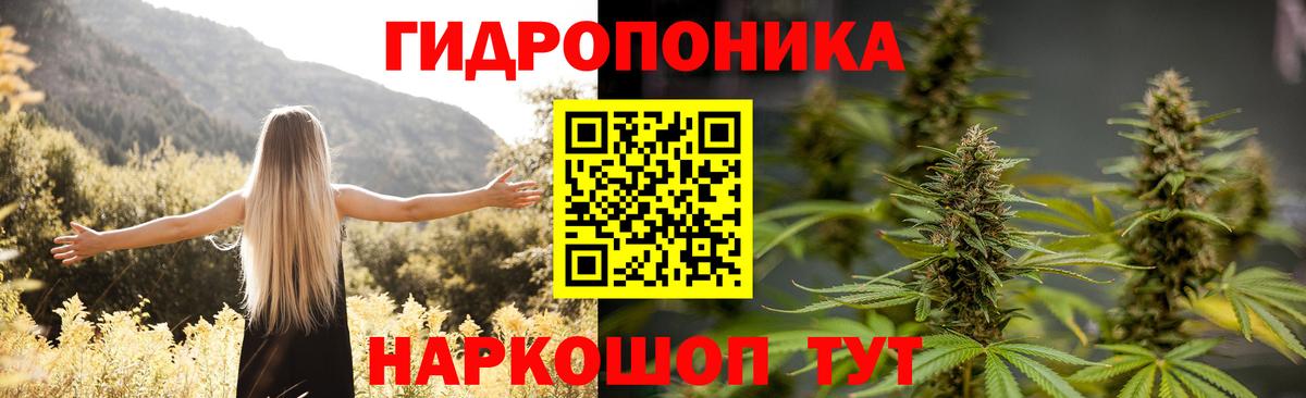 Марихуана индика Вологда